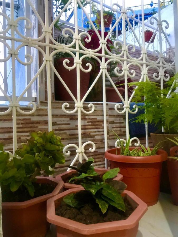 Apartament Dar Sidi Mfedal Szafszawan Zewnętrze zdjęcie