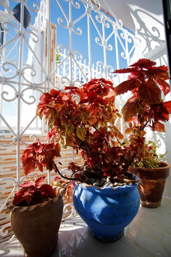 Apartament Dar Sidi Mfedal Szafszawan Zewnętrze zdjęcie